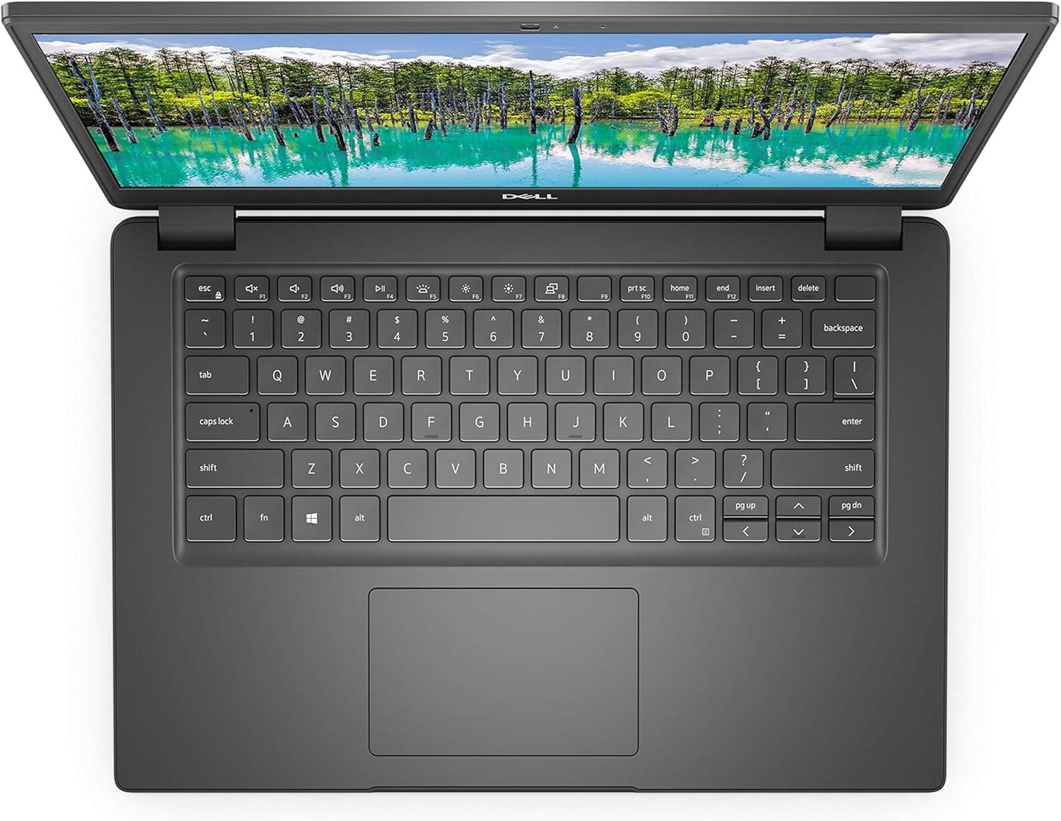 Dell Latitude 3410 — Dell laptop view 2